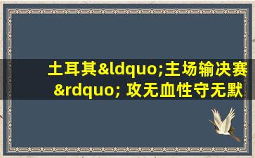 土耳其“主场输决赛” 攻无血性守无默契怎